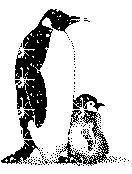 penguini